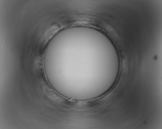 X0000116621353200912312130