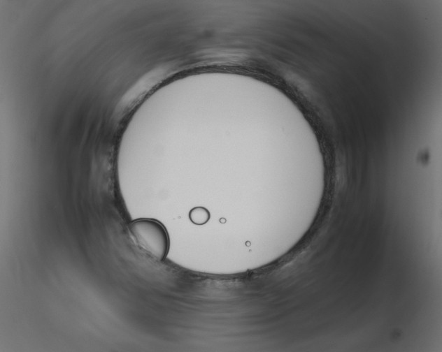 X0000116621354200912312130