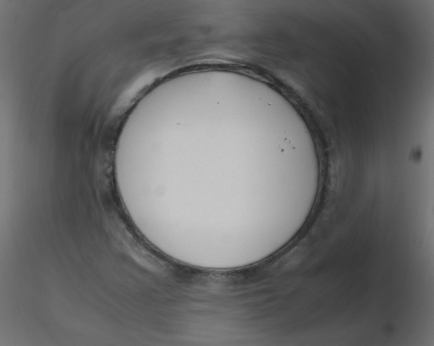 X0000116621355200912312130