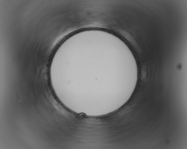 X0000116621356200912312130