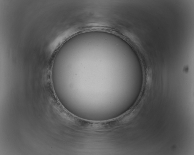 X0000116621357200912312130