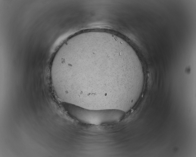 X0000116621358200912312130