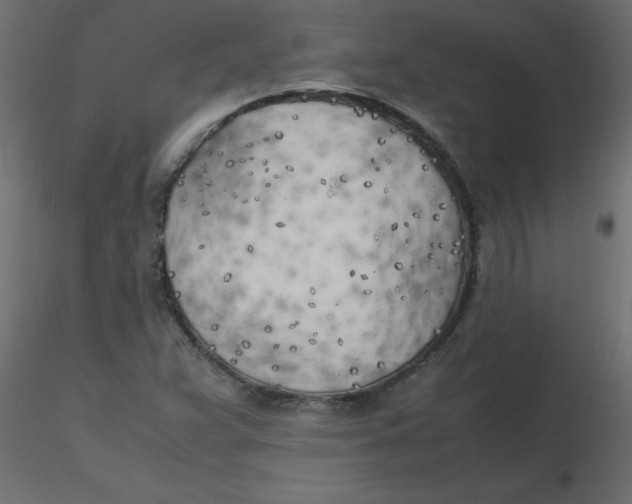 X0000116621359200912312130