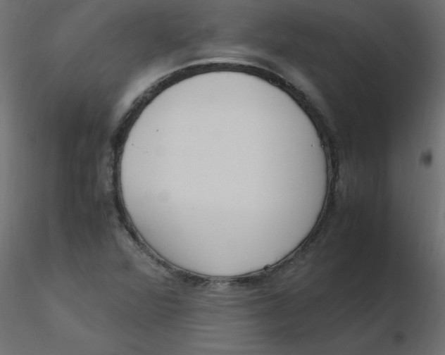 X0000116621360200912312130