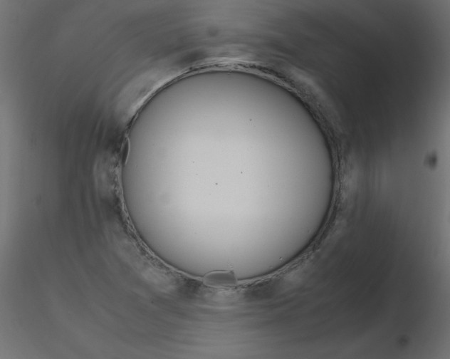 X0000116621361200912312130