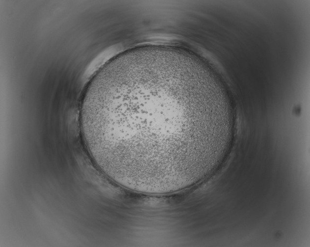 X0000116621362200912312130