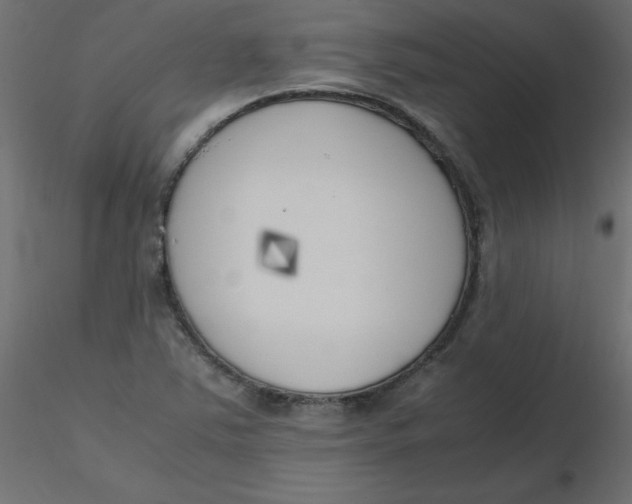 X0000116621363200912312130