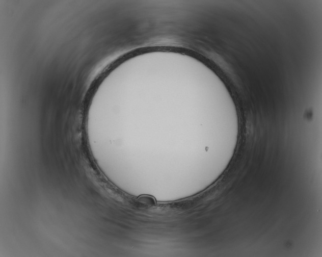 X0000116621364200912312130