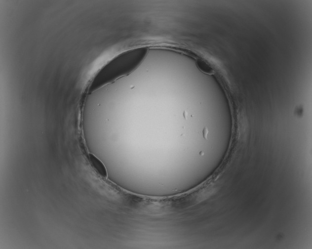 X0000116621365200912312130