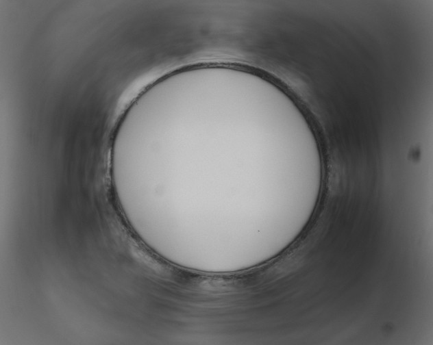 X0000116621366200912312130