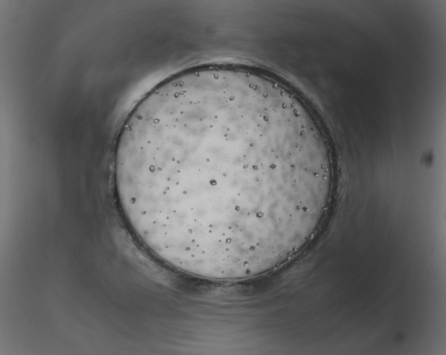 X0000116621367200912312130