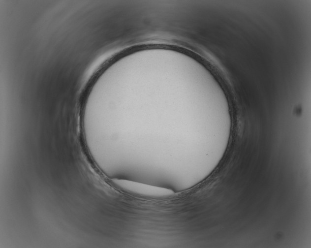 X0000116621368200912312130