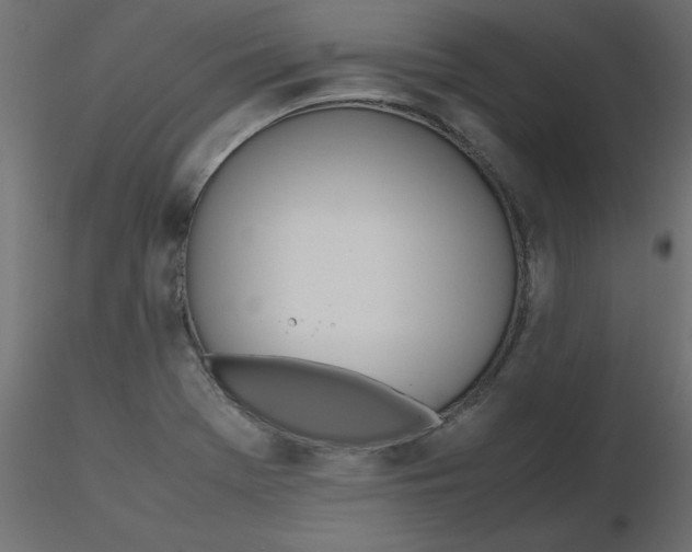 X0000116621369200912312130