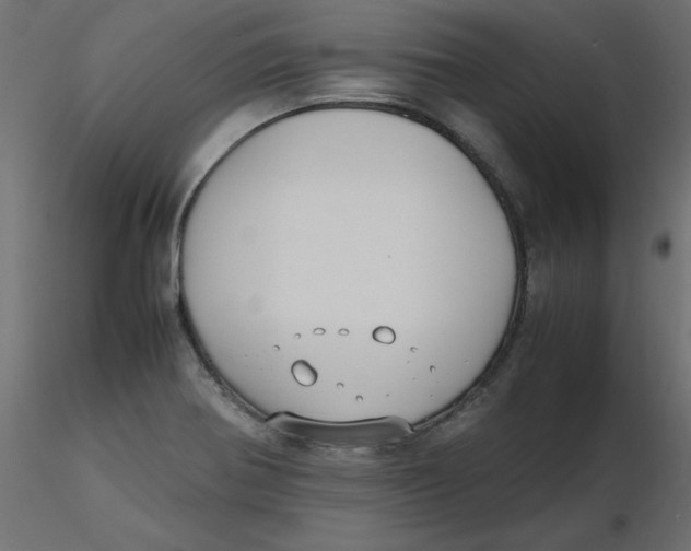 X0000116621370200912312130