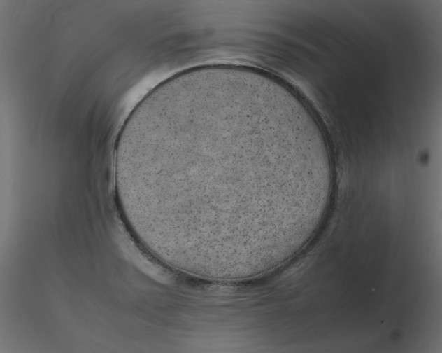 X0000116621371200912312130