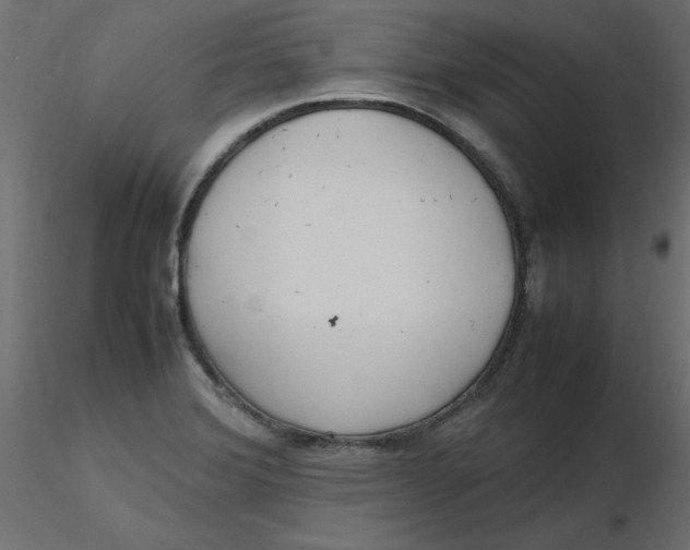 X0000116621372200912312130