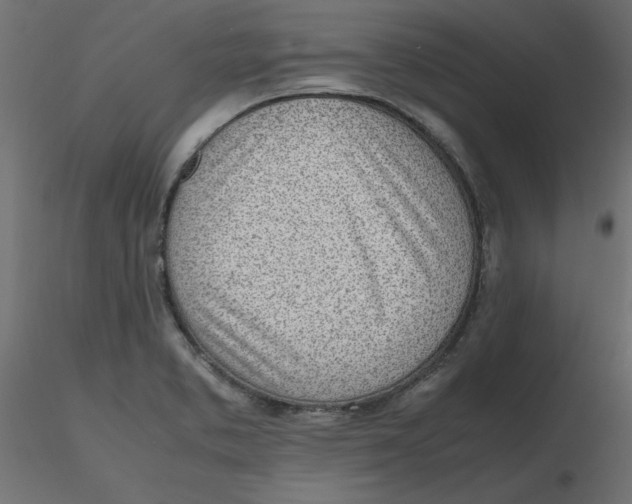 X0000116621373200912312130