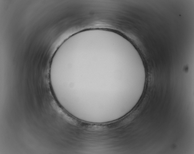 X0000116621374200912312130