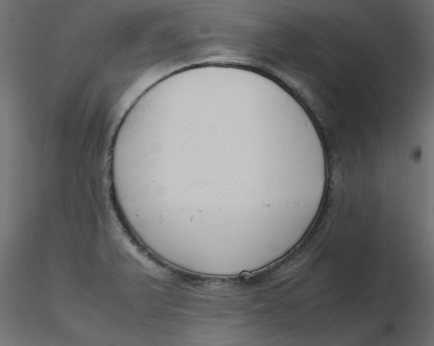 X0000116621375200912312130