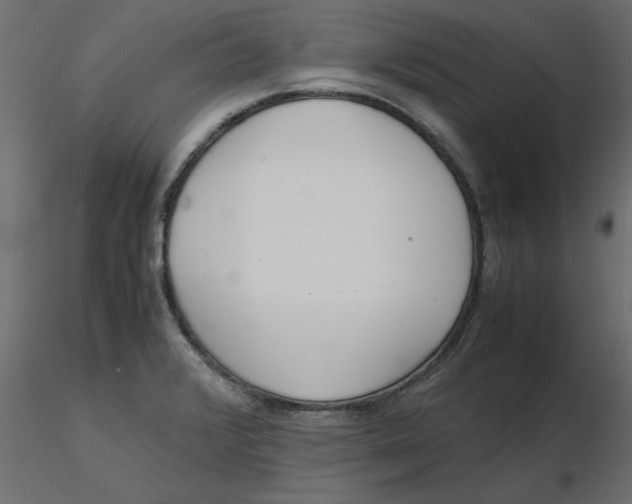 X0000116621376200912312130