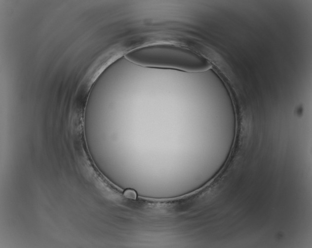 X0000116621377200912312130