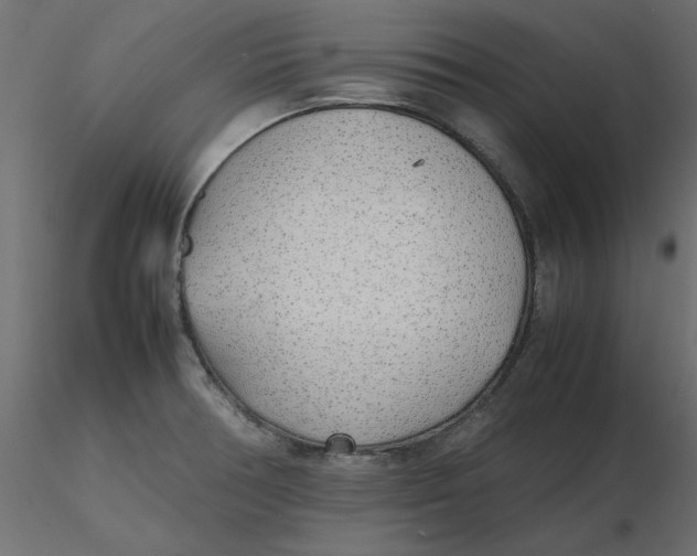 X0000116621378200912312130