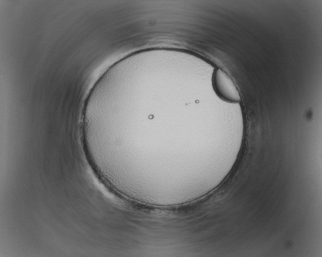 X0000116621379200912312130