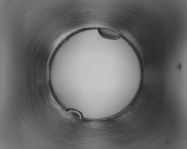 X0000116621380200912312130