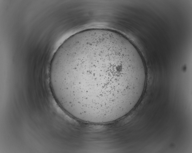 X0000116621382200912312130