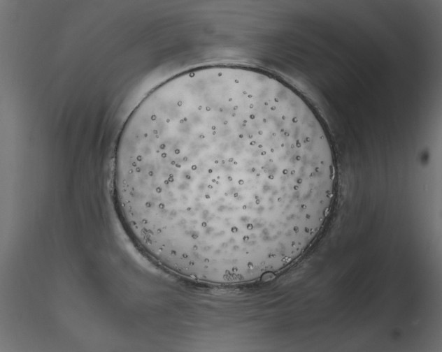 X0000116621383200912312130