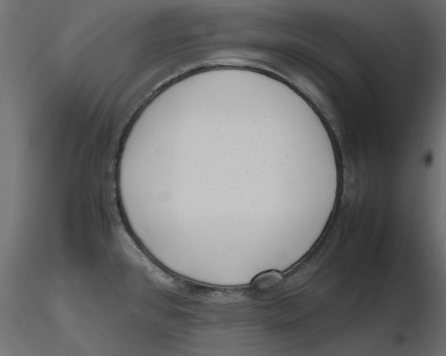 X0000116621384200912312130