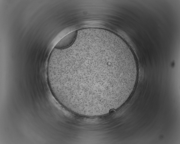 X0000116621386200912312130