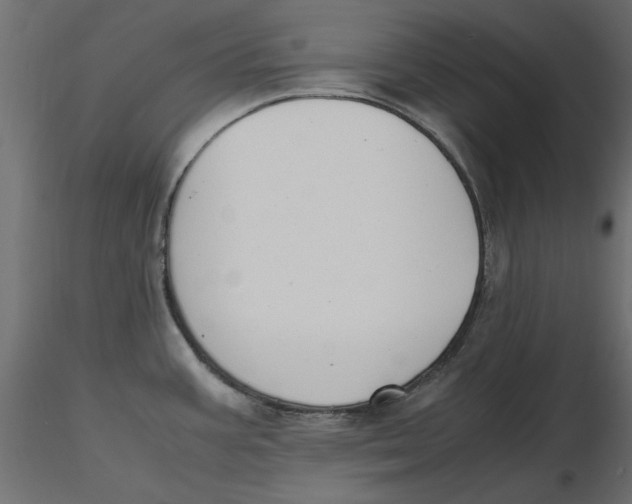 X0000116621387200912312130