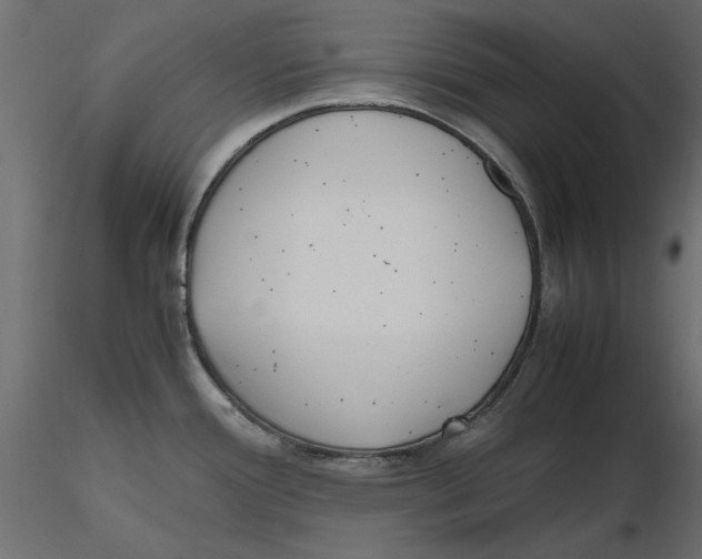 X0000116621388200912312130