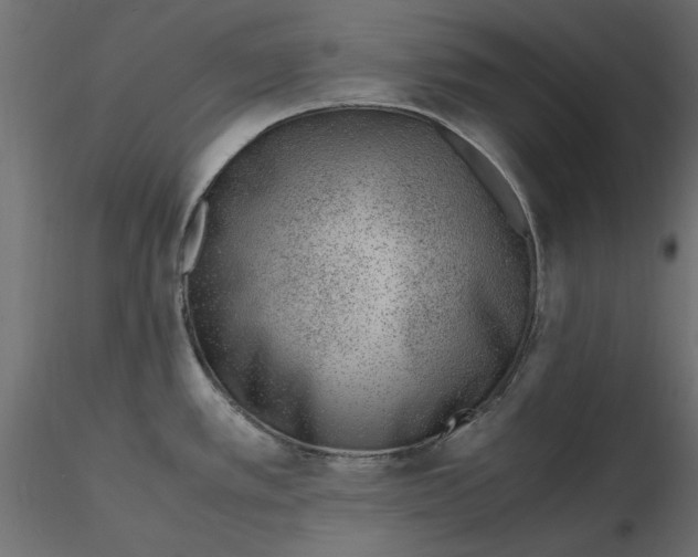 X0000116621389200912312130