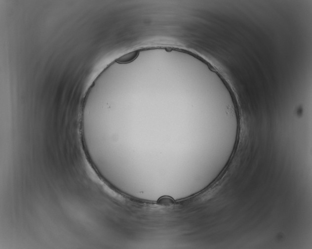 X0000116621390200912312130