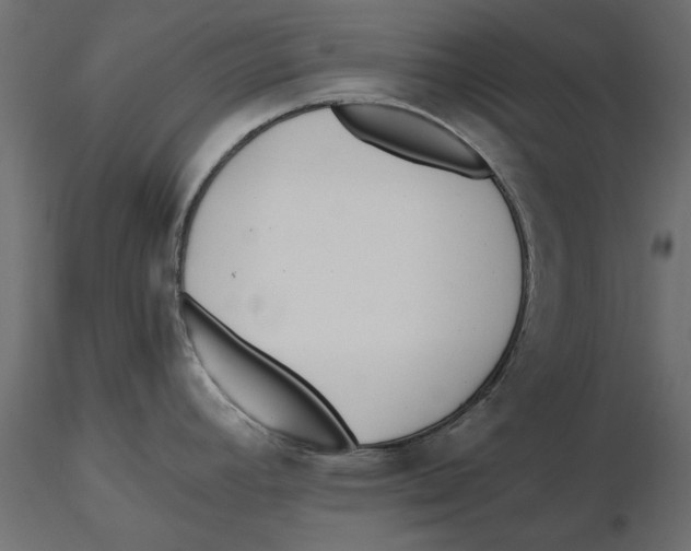 X0000116621392200912312129