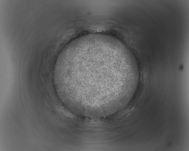 X0000116621393200912312129