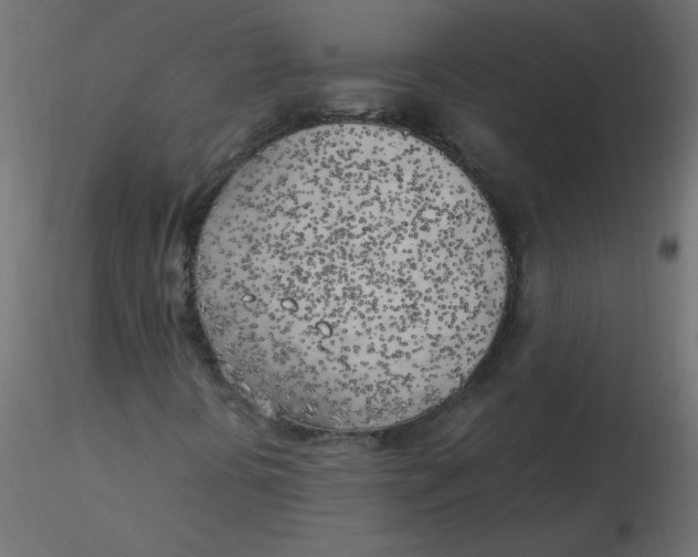 X0000116621394200912312129