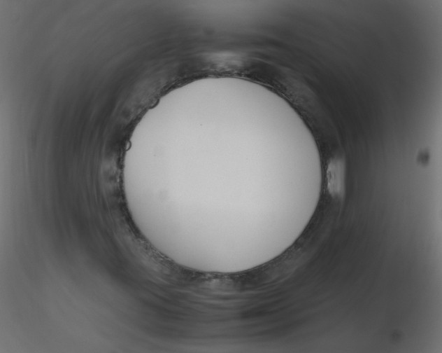 X0000116621395200912312129