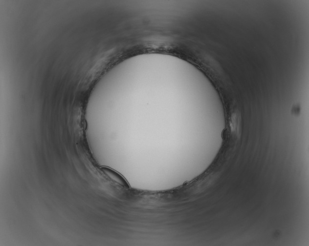 X0000116621396200912312129