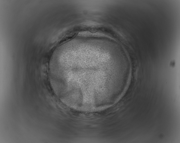 X0000116621397200912312129