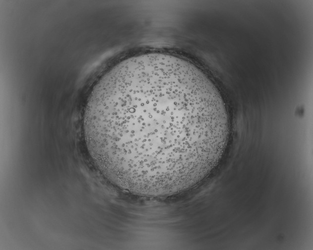 X0000116621398200912312129