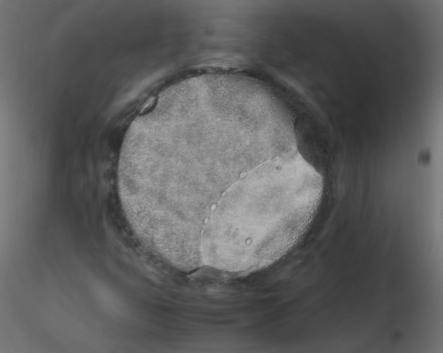 X0000116621399200912312129