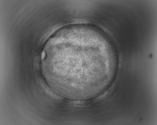 X0000116621401200912312129