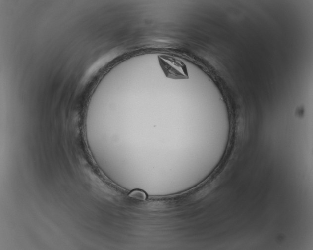 X0000116621402200912312129