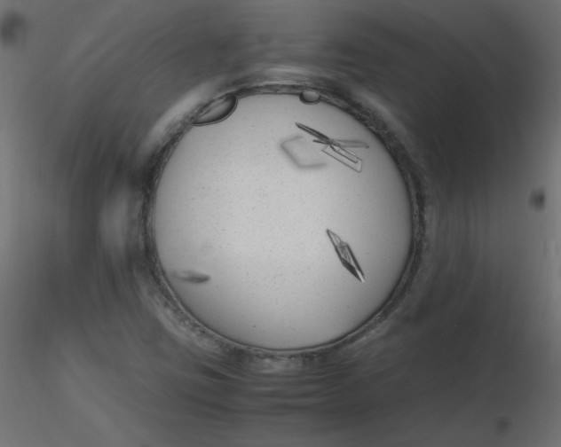 X0000116621403200912312129