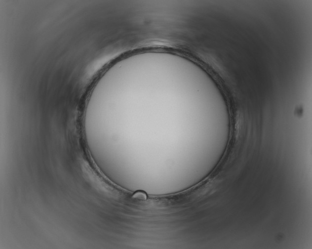 X0000116621404200912312129