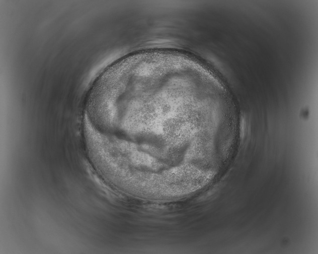 X0000116621405200912312129