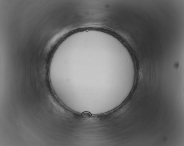 X0000116621406200912312129